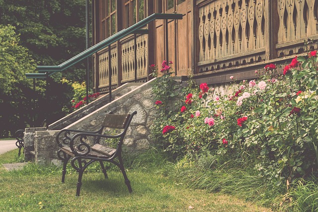 成为了全场 成为了全场