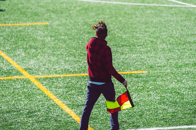 和训练动态 和训练动态