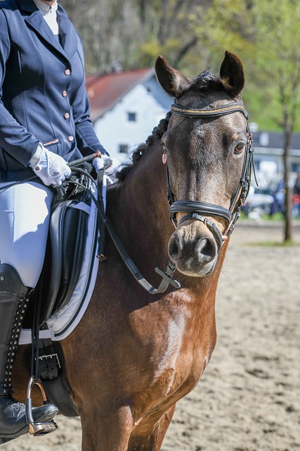 在职业生涯 在职业生涯