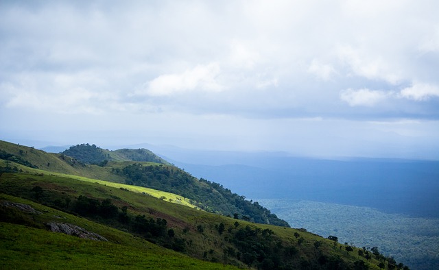 命的一環 命的一環